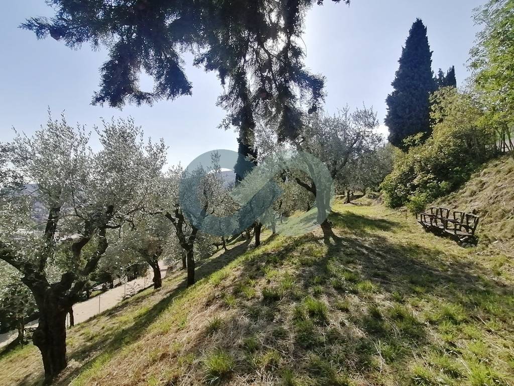 Terratetto indipendente con uliveto di 6.000 mq 22