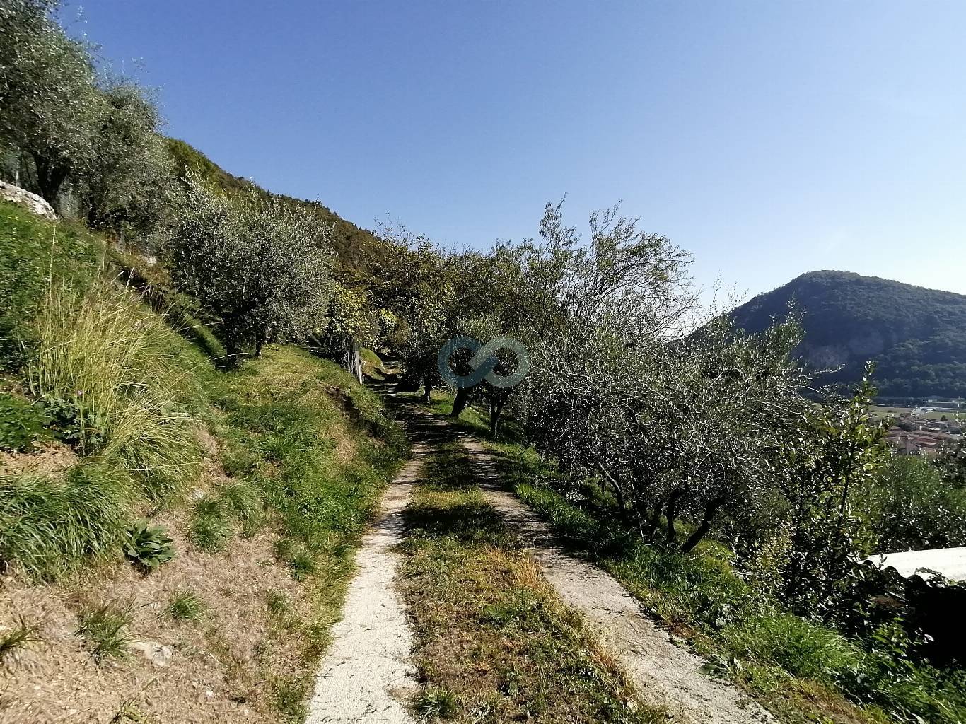 La casetta nell'uliveto 14