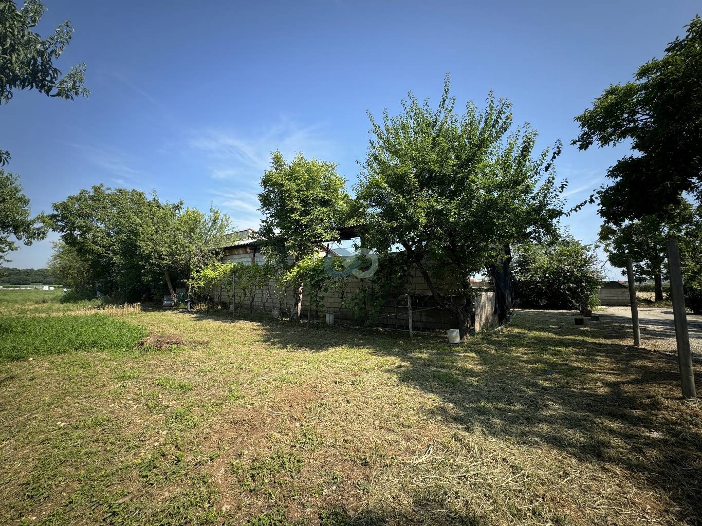 Edificio rurale e terreni agricoli 11