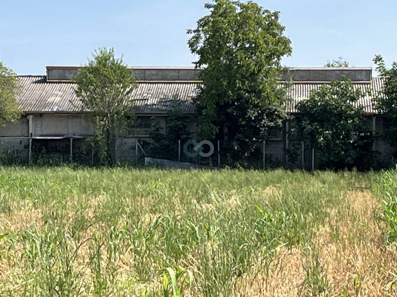 Edificio rurale e terreni agricoli 18