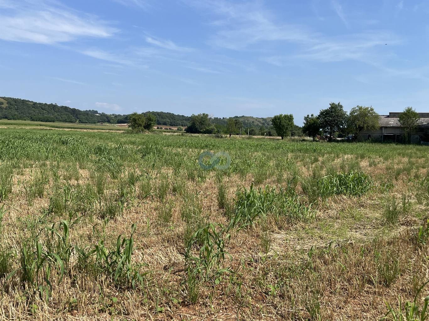 Edificio rurale e terreni agricoli 19