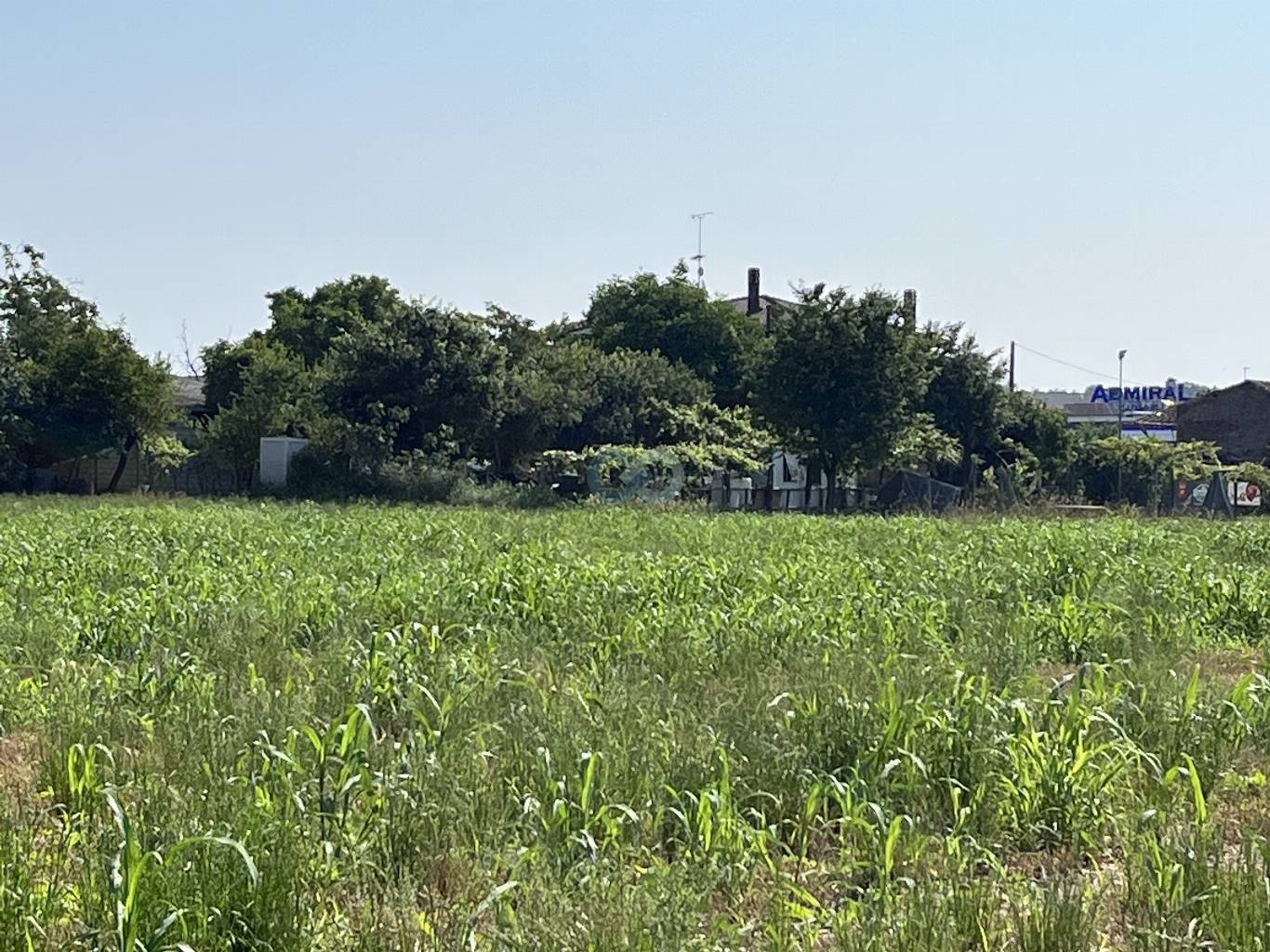 Edificio rurale e terreni agricoli 16