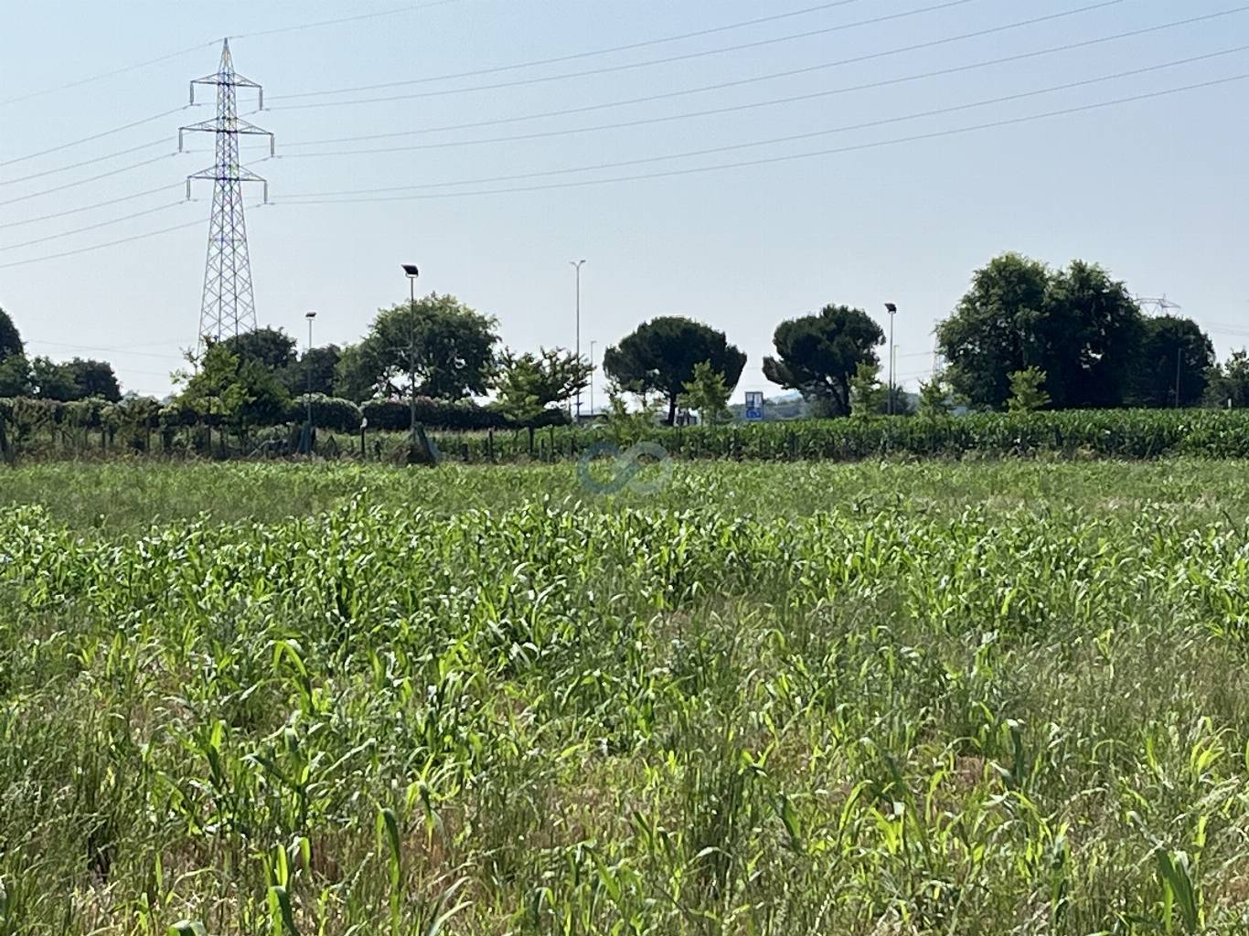 Edificio rurale e terreni agricoli 25