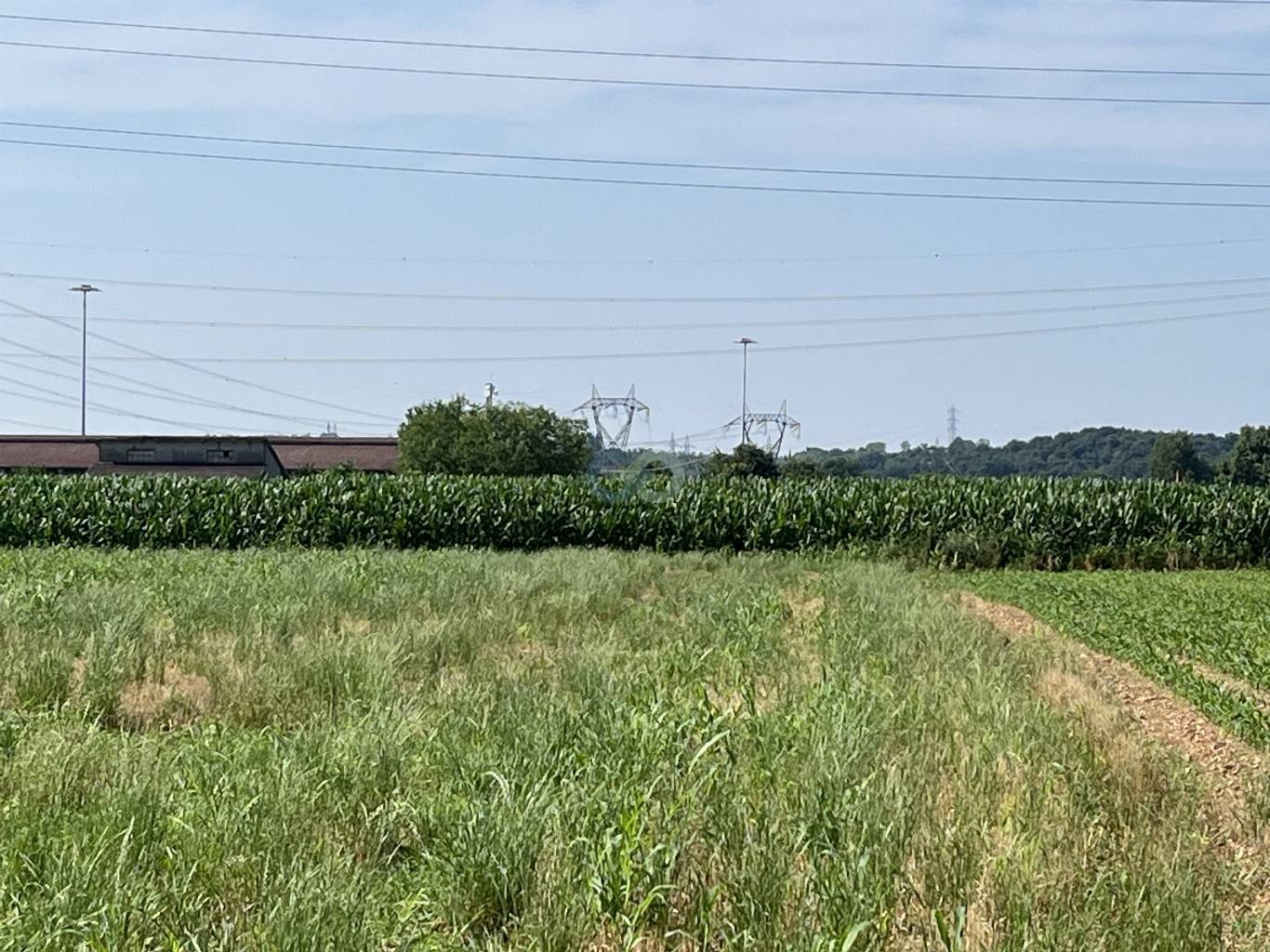 Edificio rurale e terreni agricoli 28