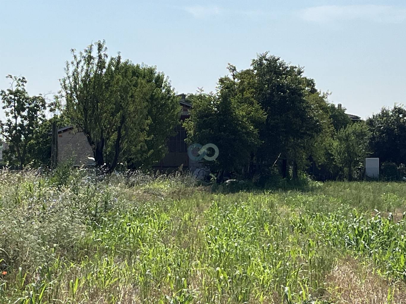 Edificio rurale e terreni agricoli 30