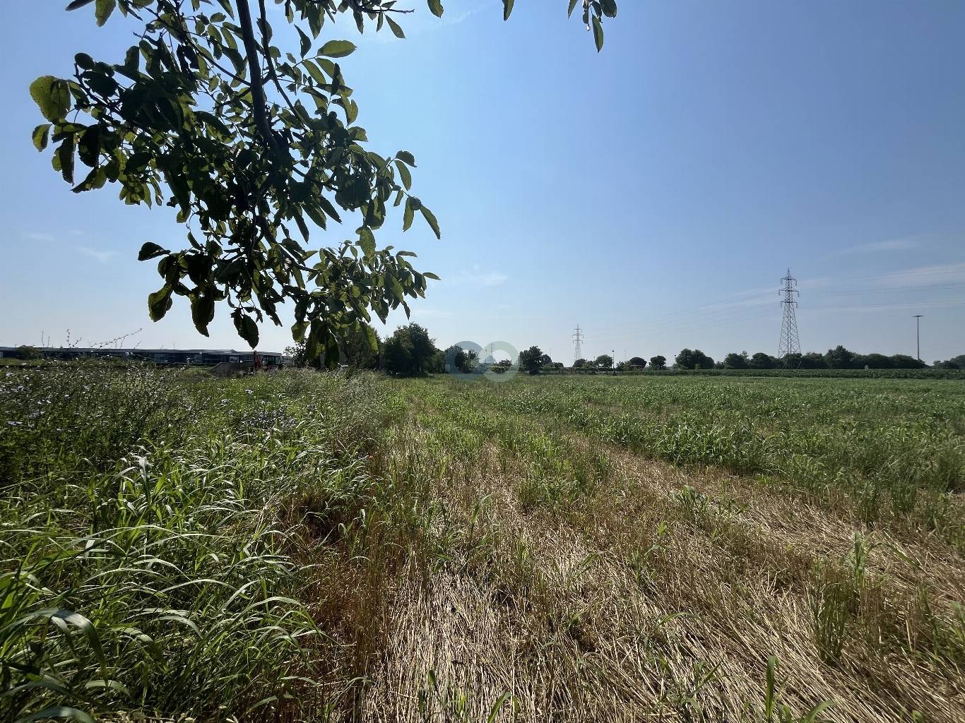 Edificio rurale e terreni agricoli 24