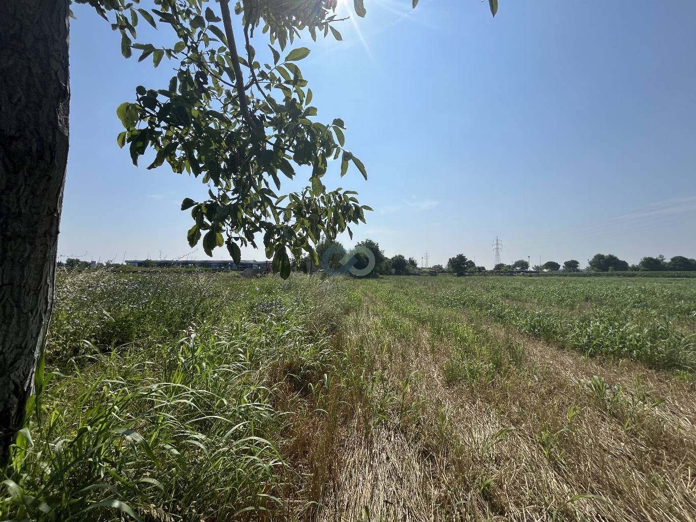 Edificio rurale e terreni agricoli 31