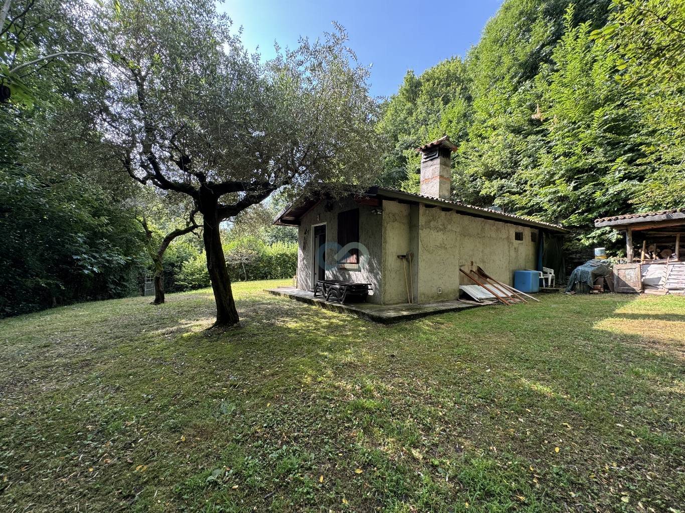 Casetta deposito con terreno e bosco 2