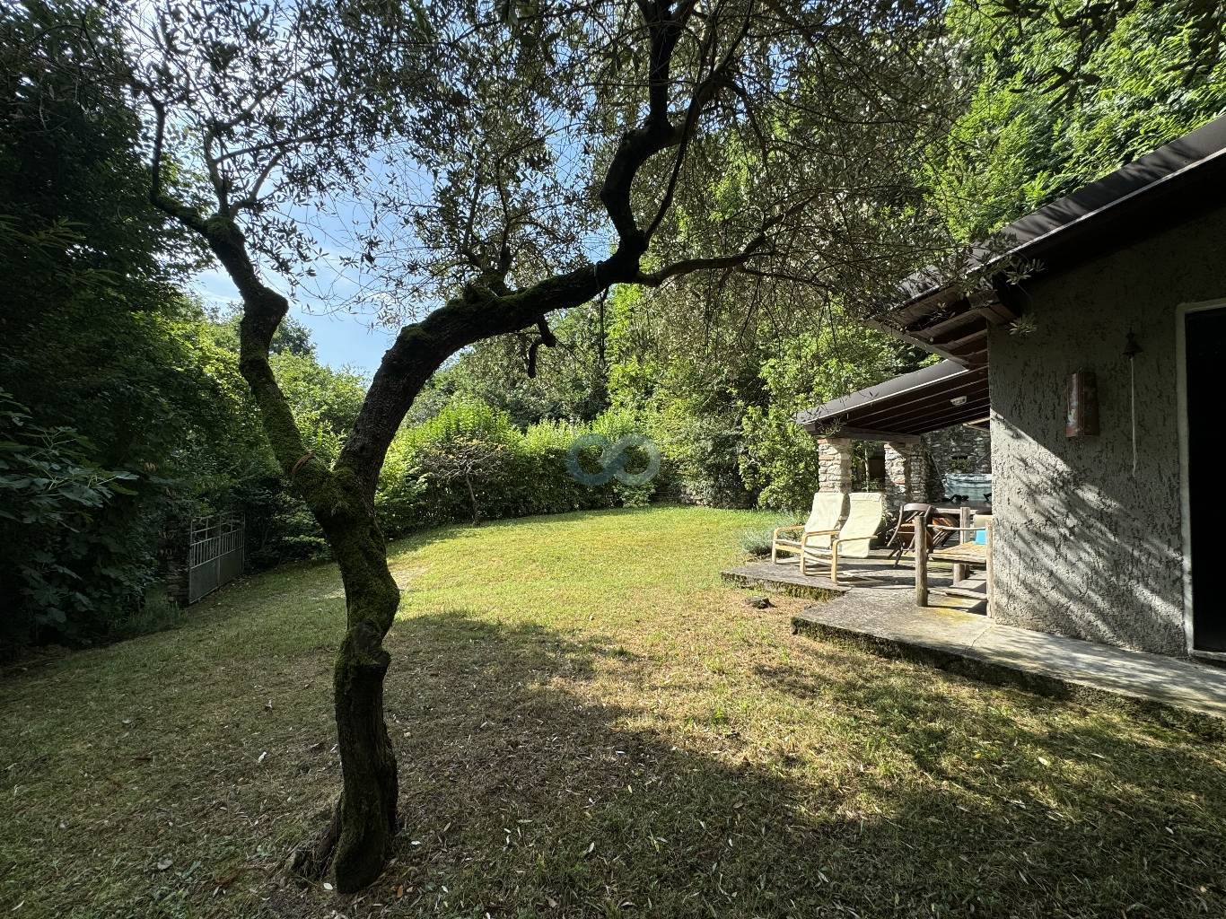 Casetta deposito con terreno e bosco 7