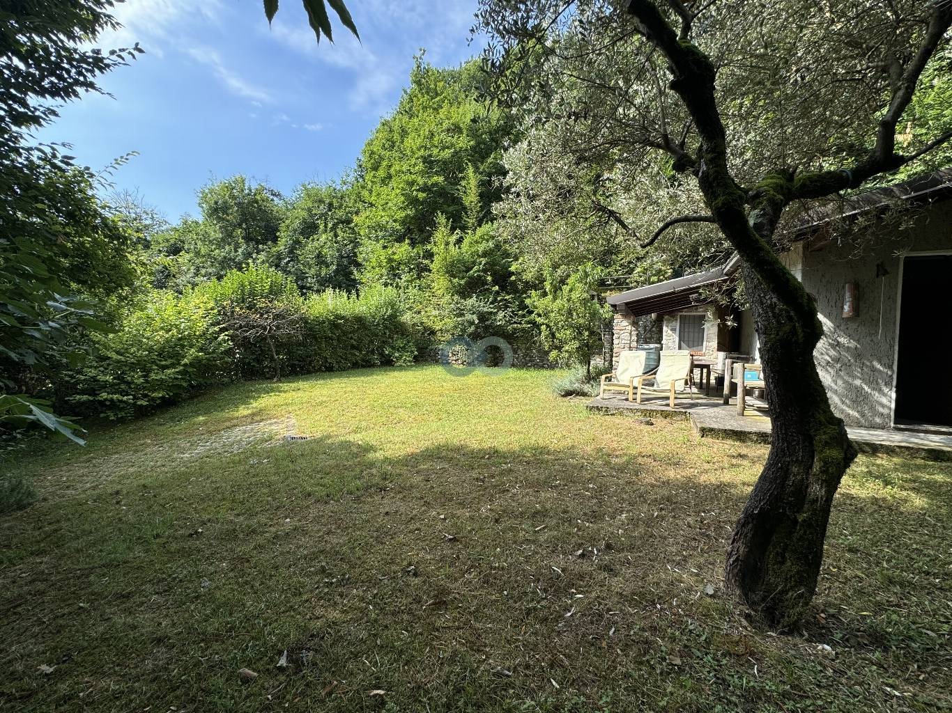 Casetta deposito con terreno e bosco 3