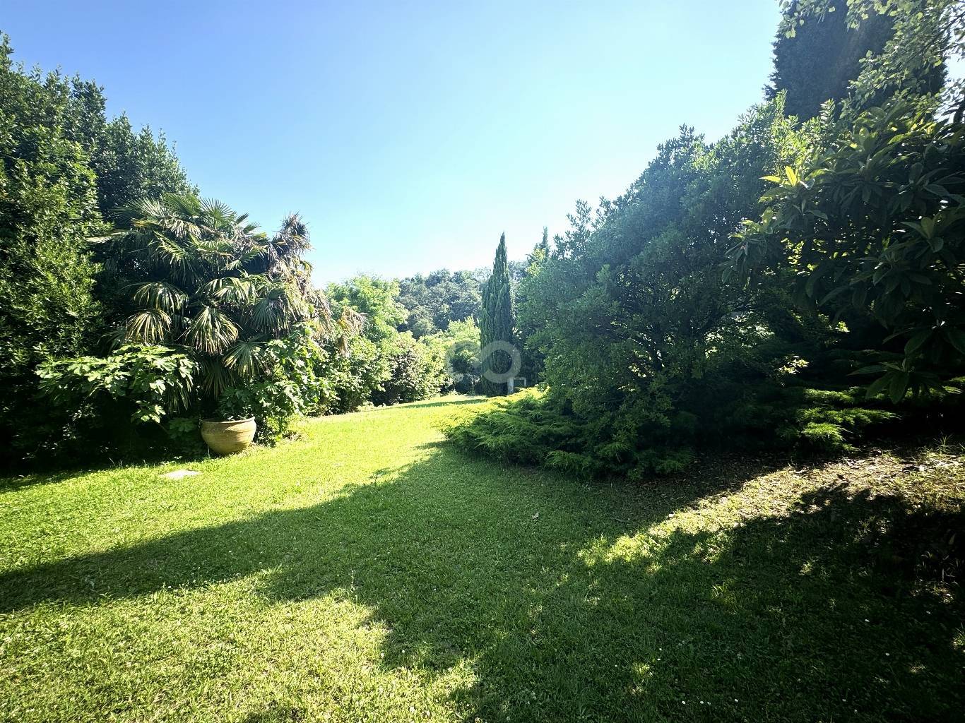 AFFASCINANTE CASOLARE DI CAMPAGNA CON CAMPO DI ULIVI 4