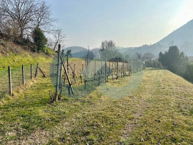 Porzione di casa con splendido vigneto 4