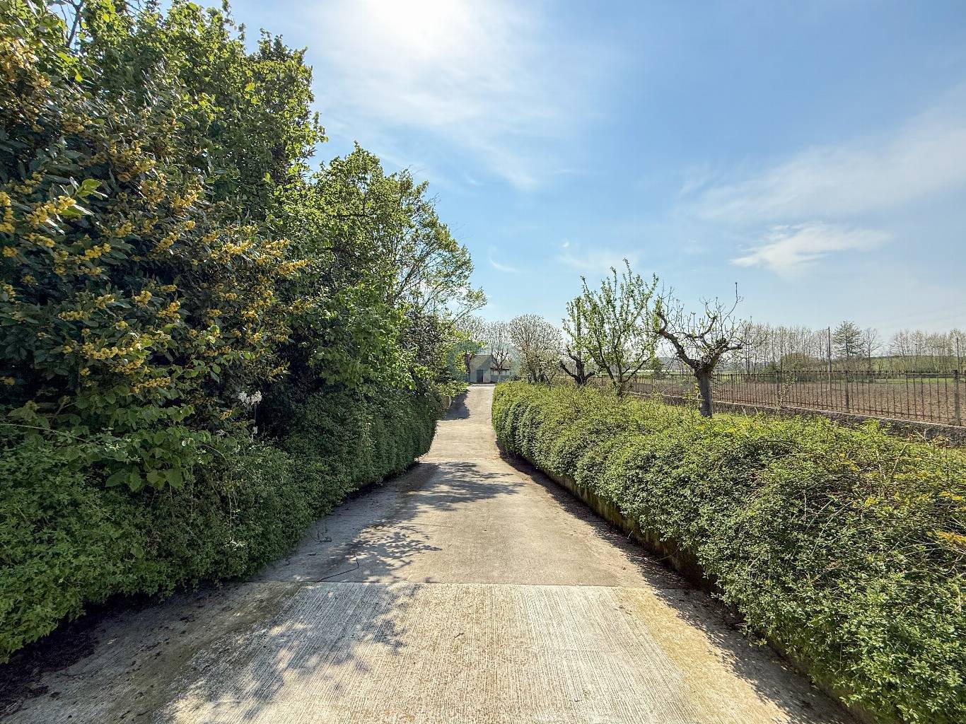 VILLA PLURIFAMILIARE CON TERRENO EDIFICABILE 48