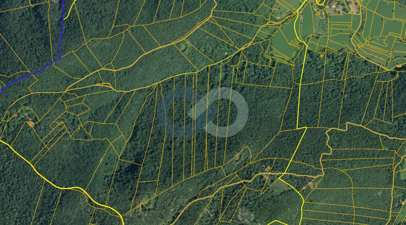 Terreno boschivo in vendita – 13.500 mq a Gavardo 1
