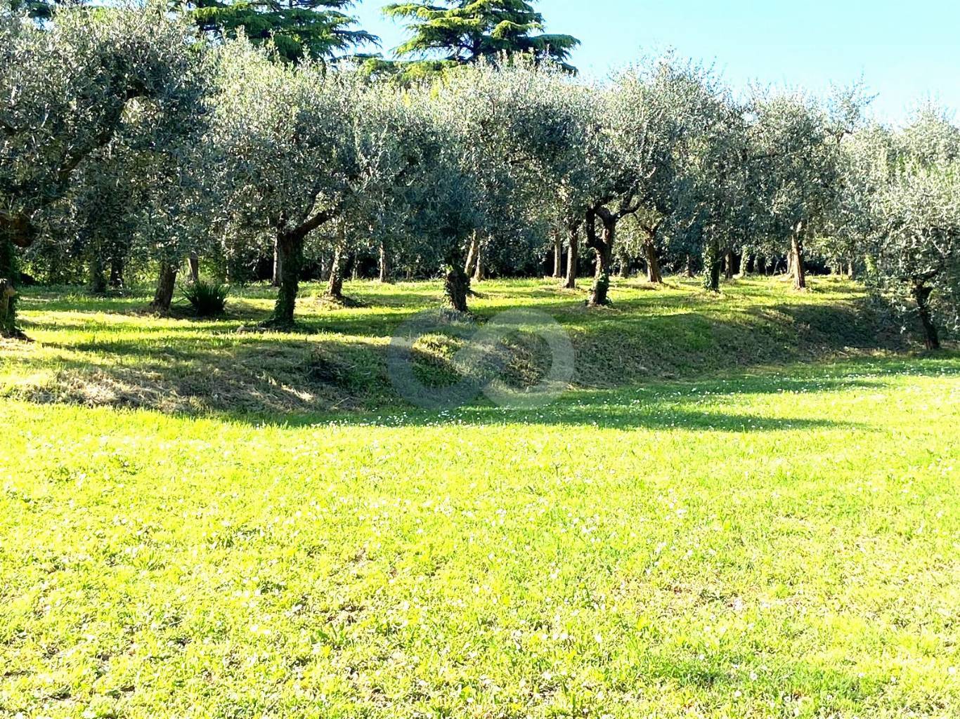 RUSTICO con TERRENO 9