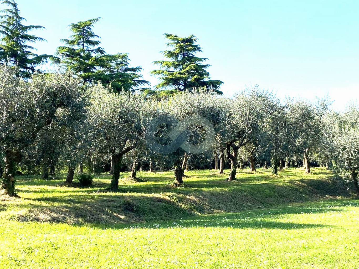RUSTICO con TERRENO 6