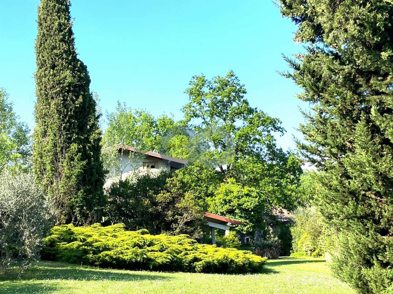 RUSTICO con TERRENO 7
