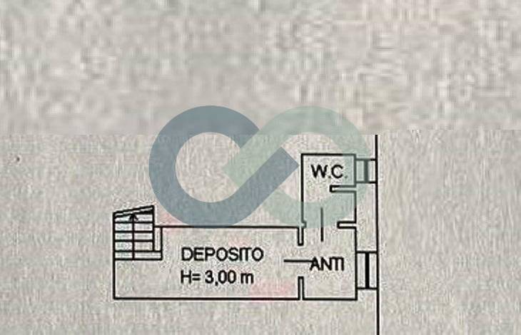 NEGOZIO LIBERO 1