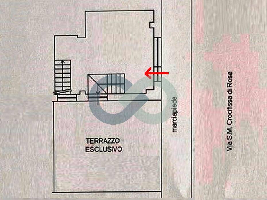 NEGOZIO LIBERO 2