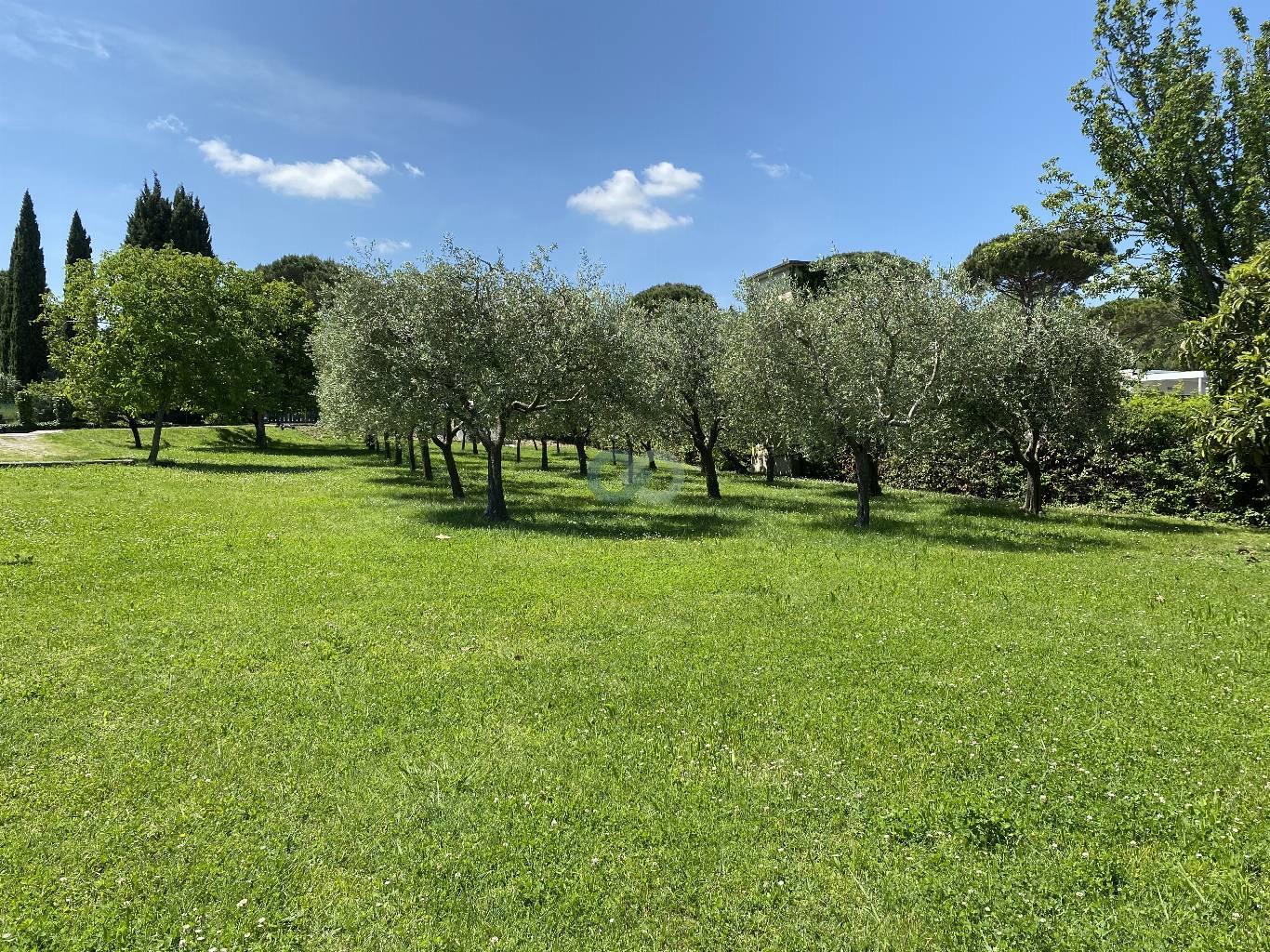 TRILOCALE MANSARDATO 27