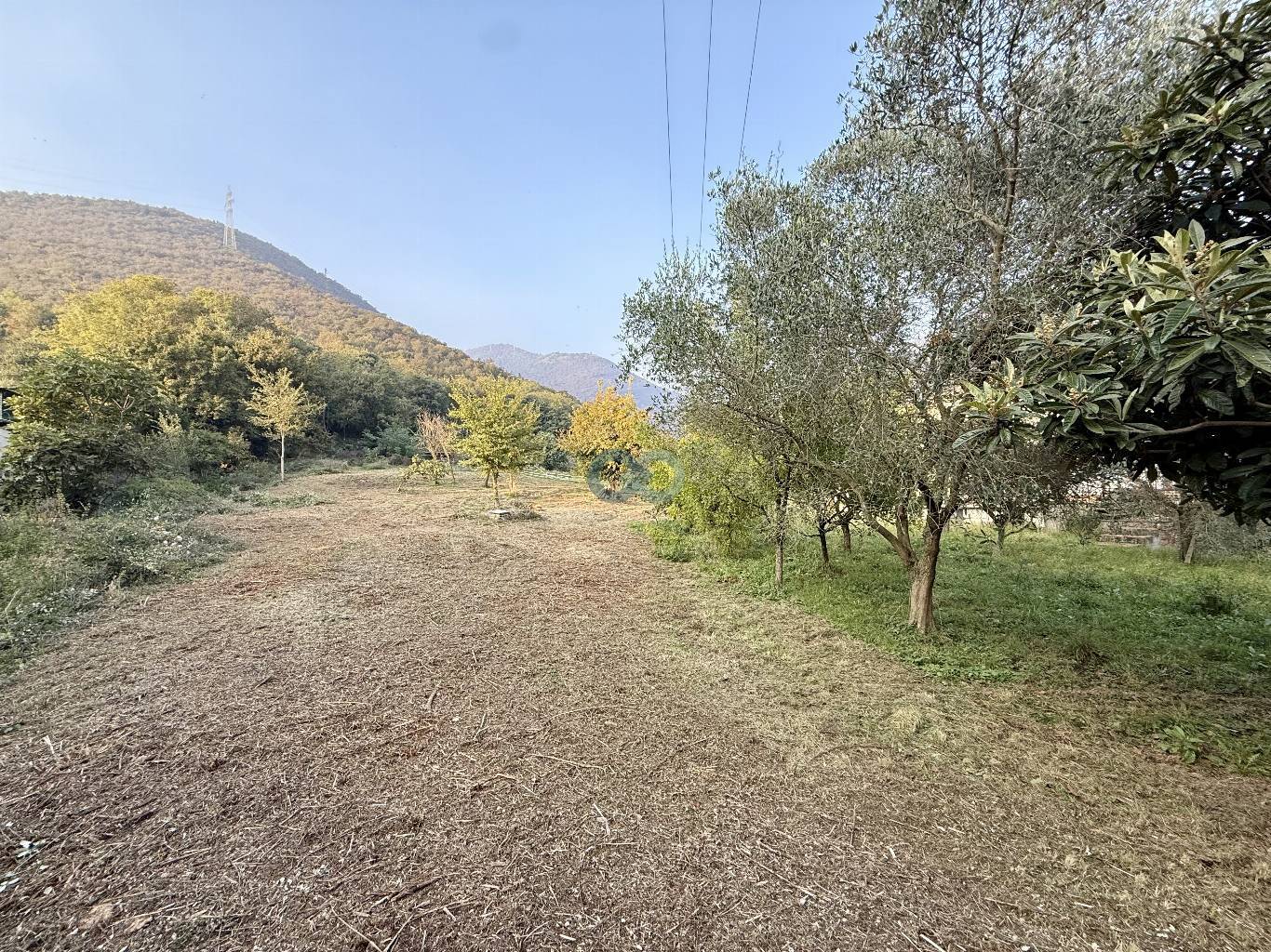 TERRENO EDIFICABILE 2