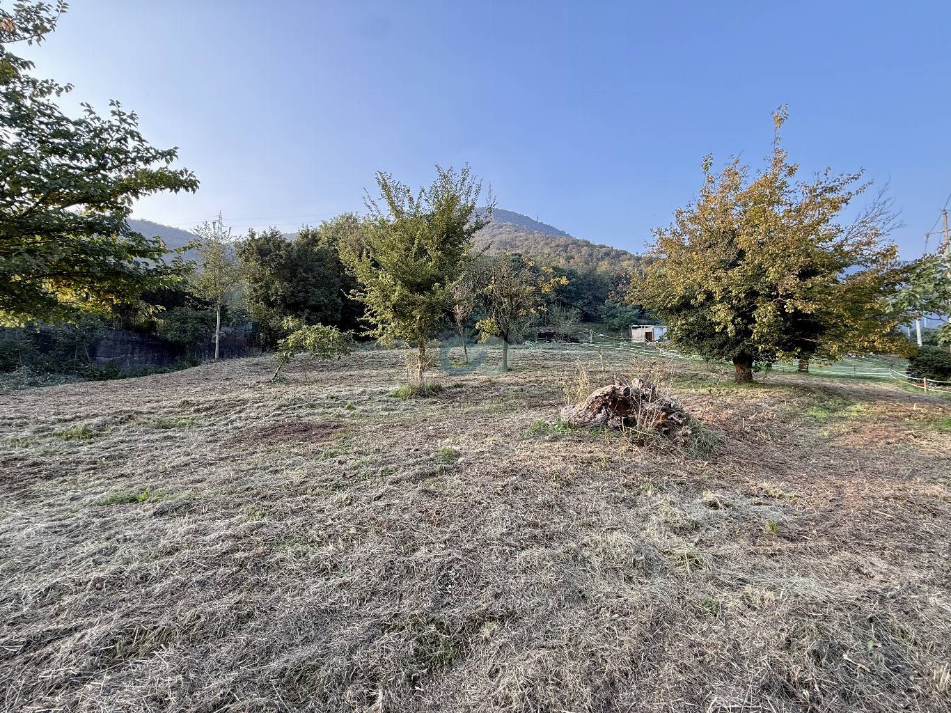 TERRENO EDIFICABILE 5