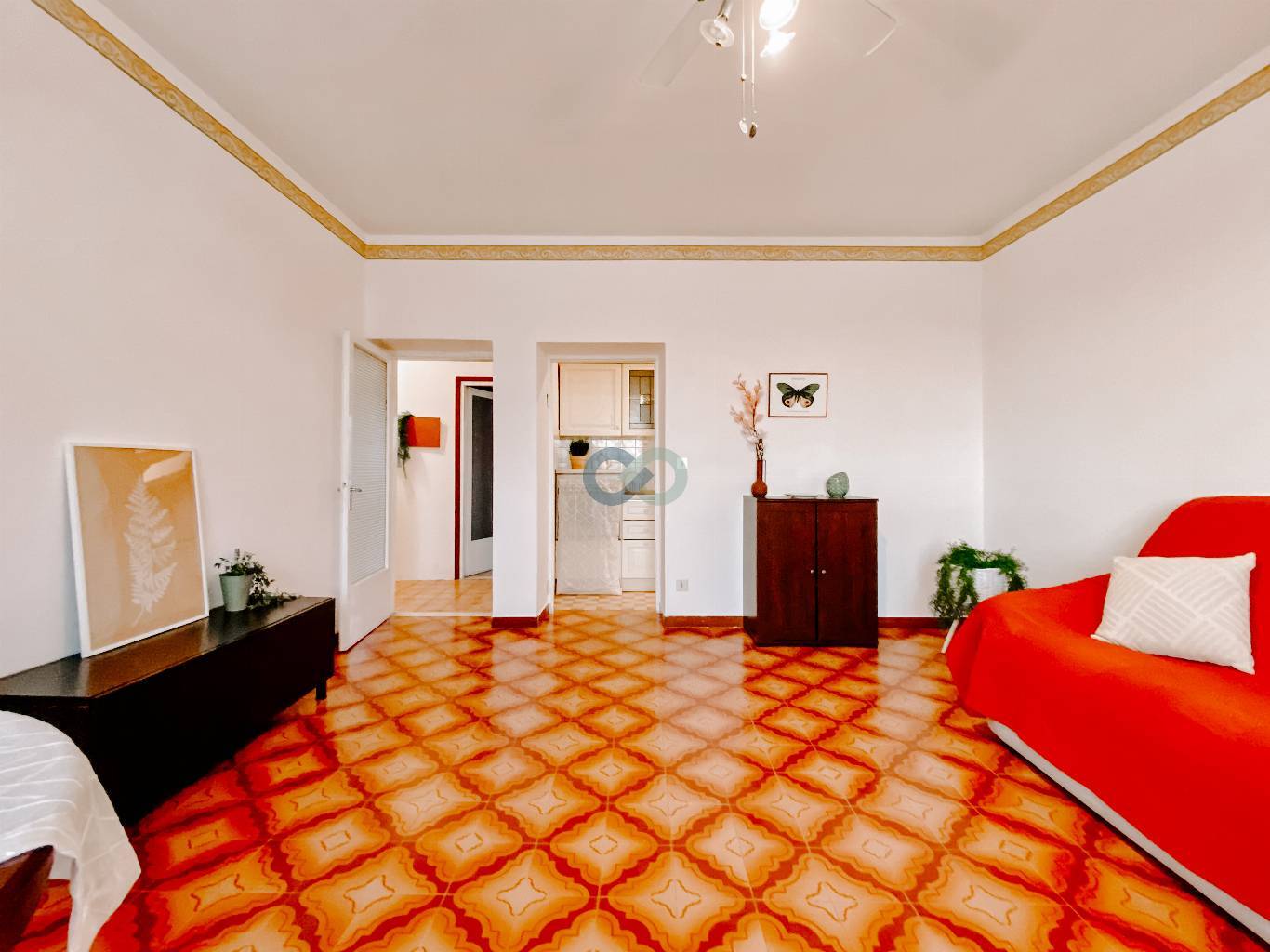 BILOCALE IN AFFITTO 6