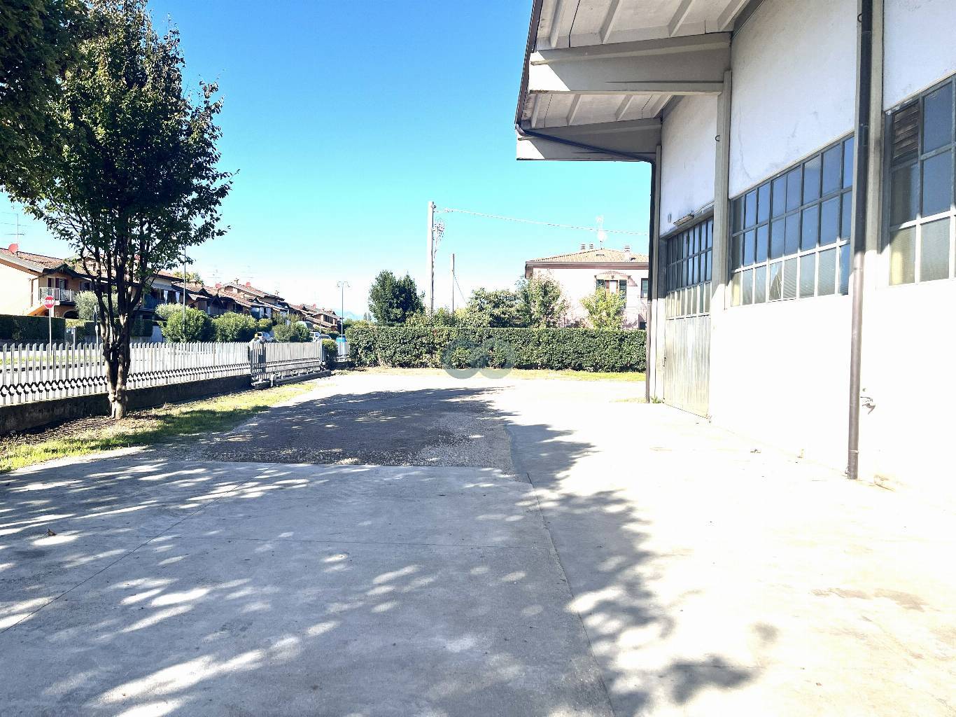 Libero subito 12