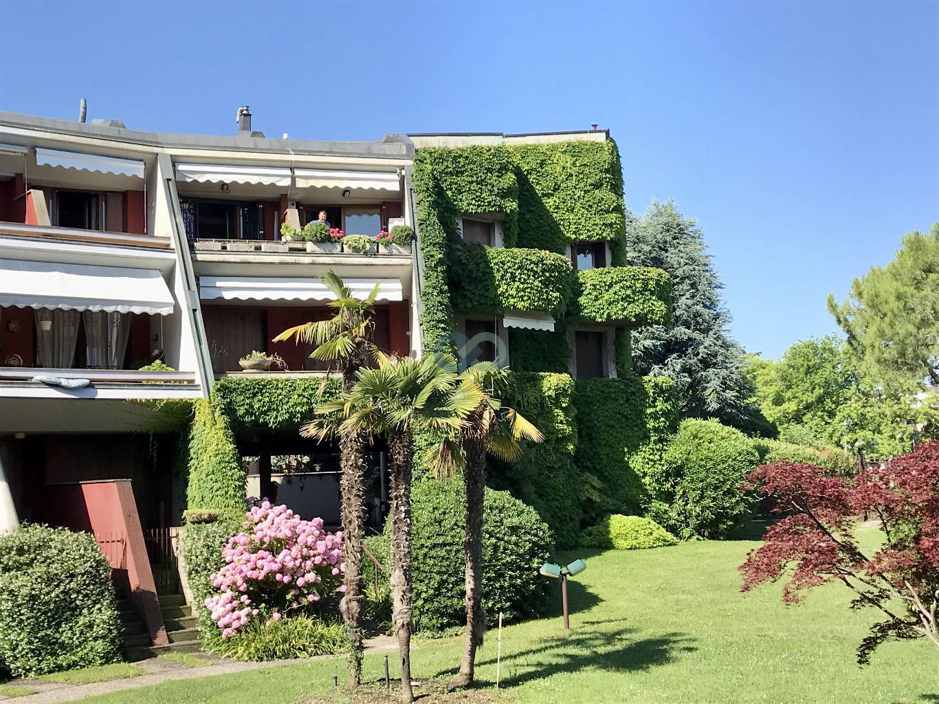 APPARTAMENTO VISTA LAGO CON PISCINA 3