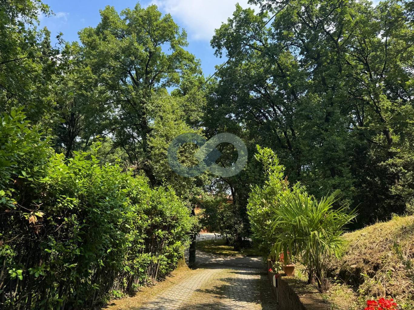 VILLA CON PISCINA 63