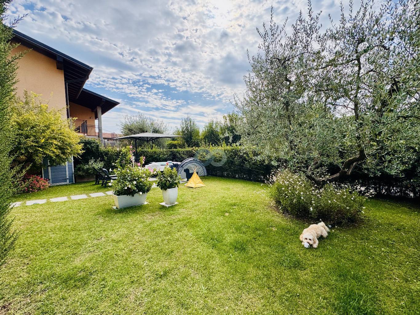 Trilocale con giardino in Residence 11