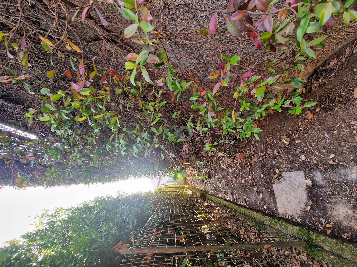 Villanuova sul Clisi – Primissima zona collinare, a soli 700 m dal centro 48