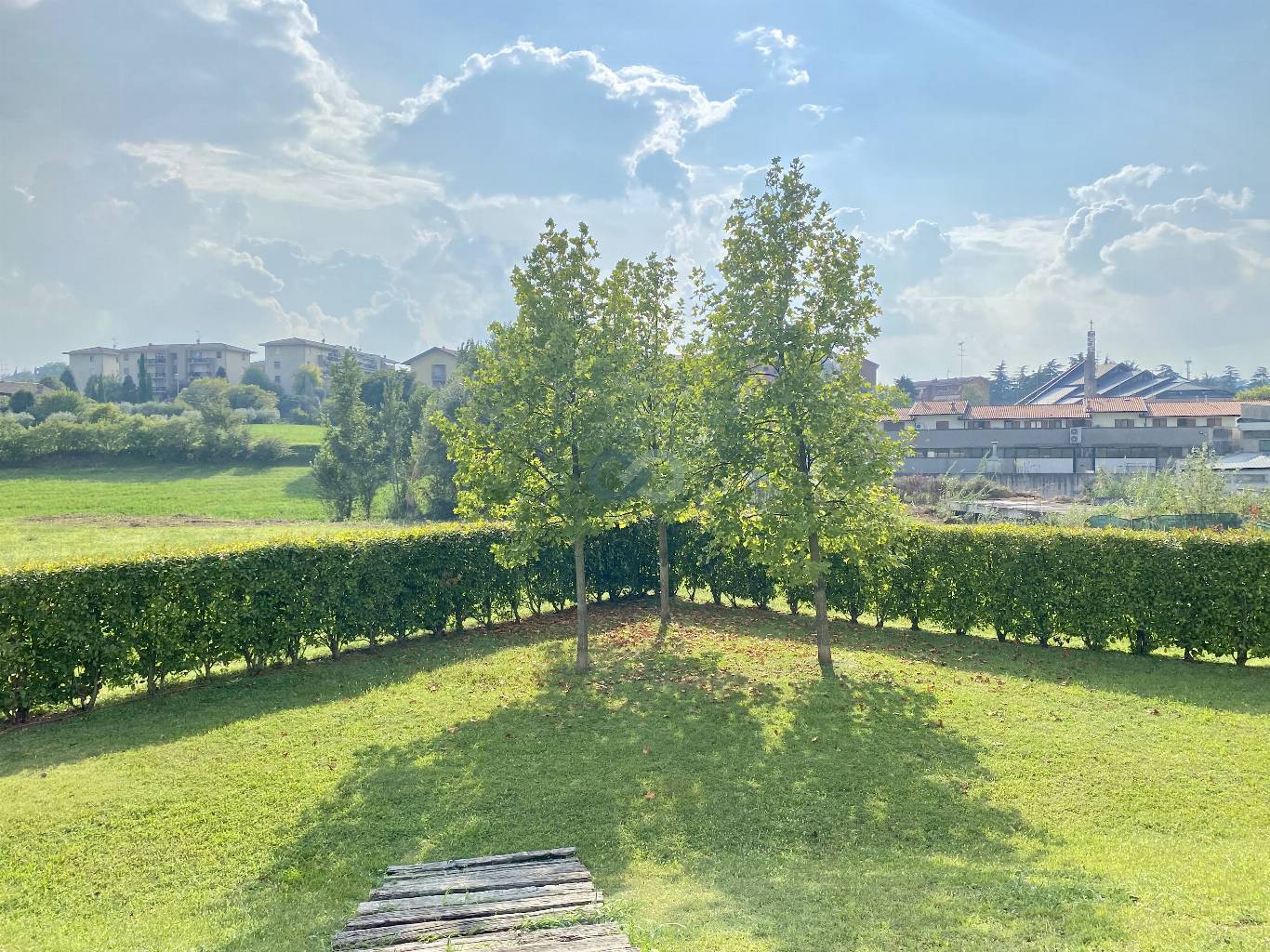 TRILOCALE CON TERRAZZO 12