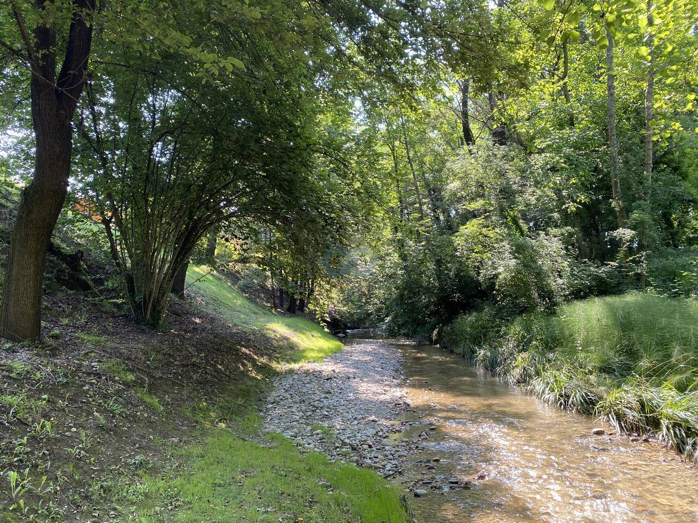 BILOCALE ARREDATO CON SOPPALCO 21