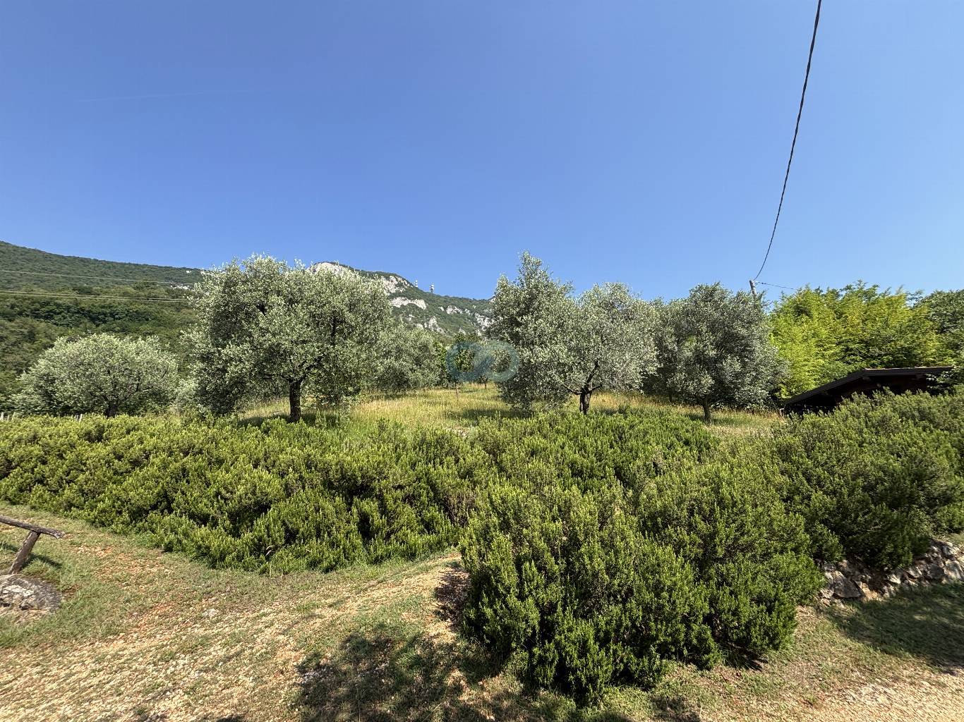 CASALE INDIPENDENTE 7