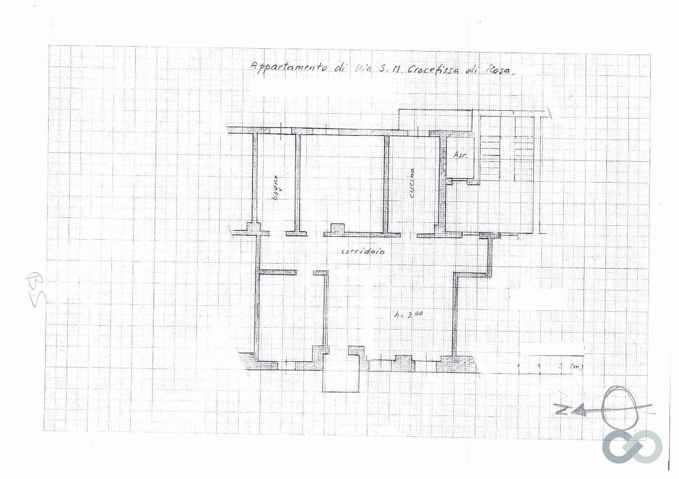 TRILOCALE 2