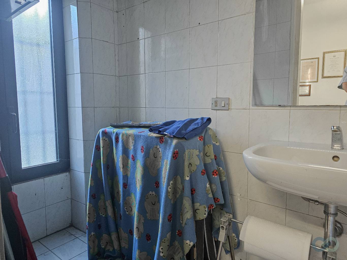 NEGOZIO FRONTE STRADA 14