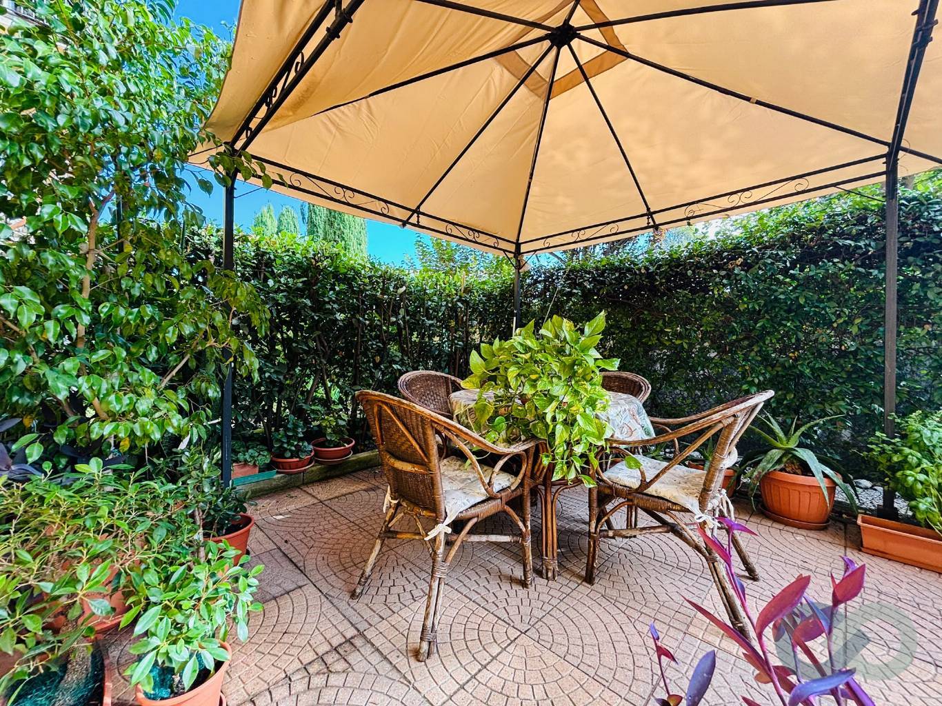 Trilocale con giardino e box doppio 25